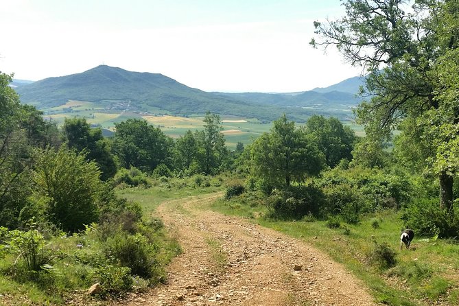 Sierra De Aracena: Grotto of Wonders, Hiking and Ecological Picnic. - Enjoying an Ecological Picnic