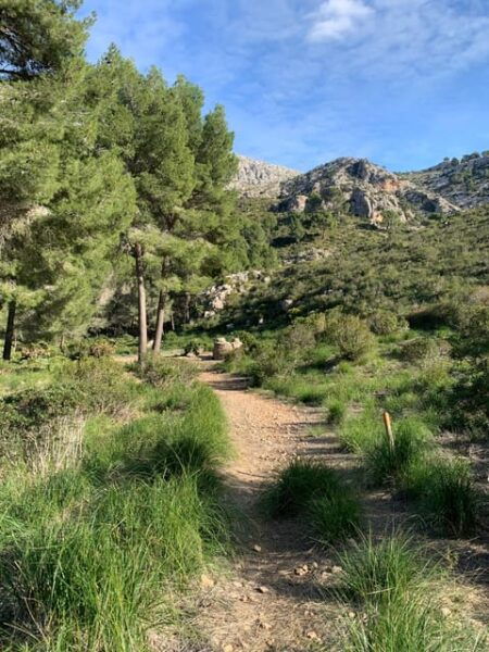 Sierra De Tramuntana Hiking Experience - Included Amenities and Restrictions