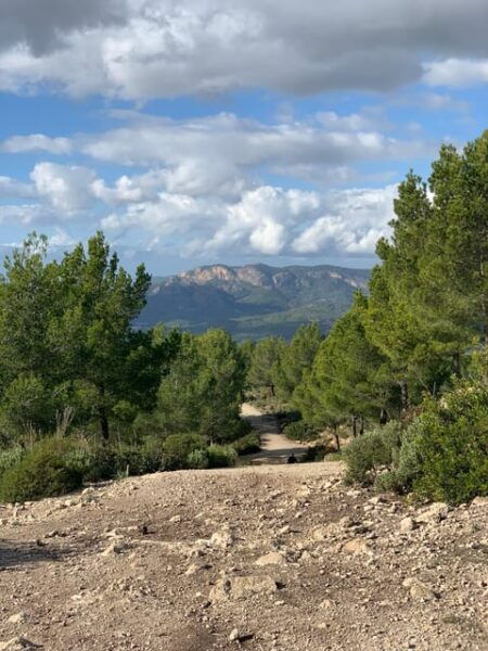 Sierra De Tramuntana Hiking Experience - Language Support and Heritage Elements
