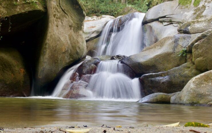 Sierra Minca Day Tour - Tour Experience Highlights