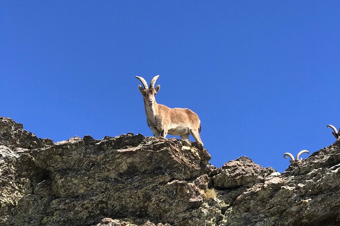 Sierra Nevada 4WD Safari Small Group Tour From Granada - Tour Highlights and Customer Experiences