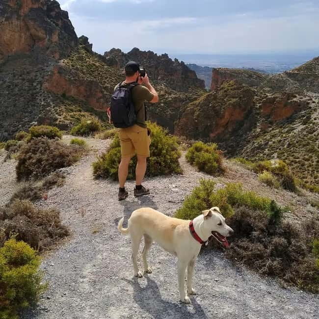 Sierra Nevada Canyon Hike with Pup Guide - Pricing and Value