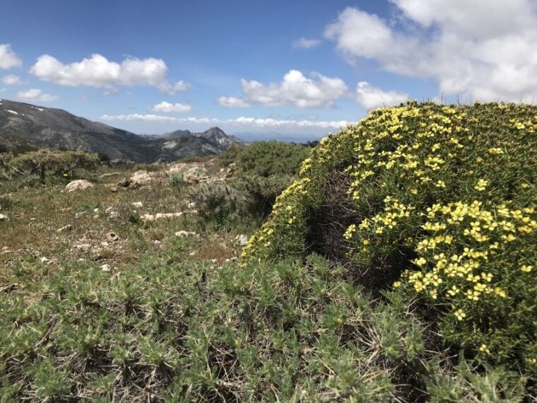 Sierra Nevada: Hike to 3000 Meters (Snowshoeing in Winter) - Reaching the Starting Point