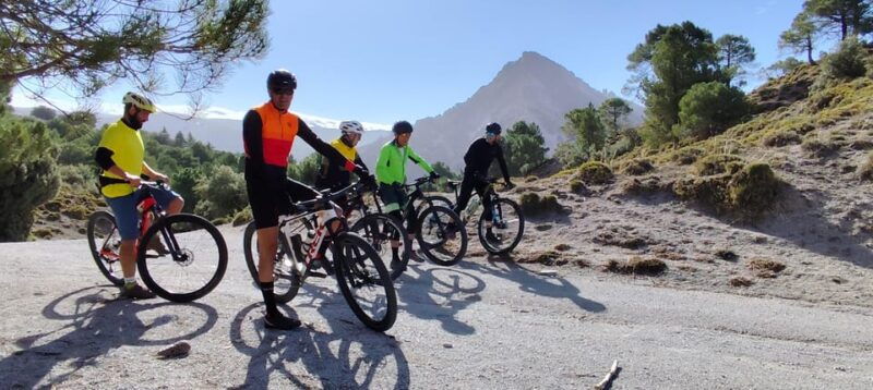 Sierra Nevada Small Group BIKE Tour - Exploring Sierra Nevadas Landscapes