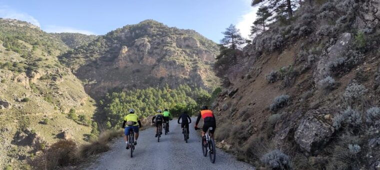 Sierra Nevada Small Group BIKE Tour - Tour Experience and Activities