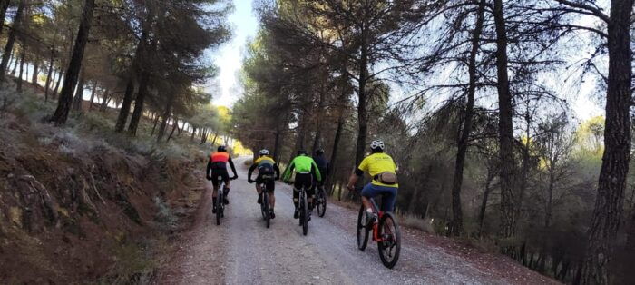 Sierra Nevada Small Group BIKE Tour - Booking and Reservation Details