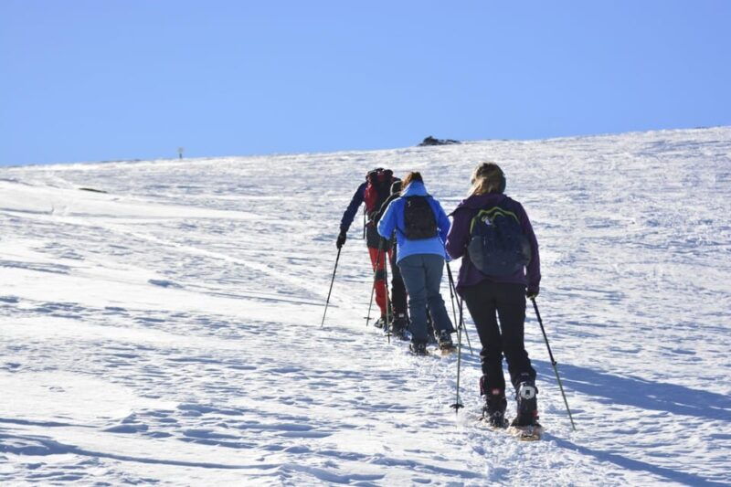 Sierra Nevada: Snow Tour at 3,000m of Altitude - Good To Know