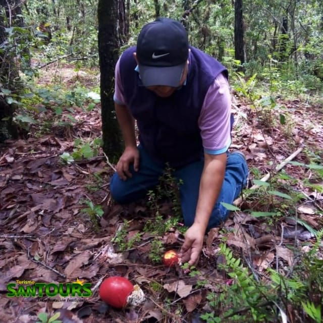 Sierra Norte: Eco Adventure Tour - Activities Included