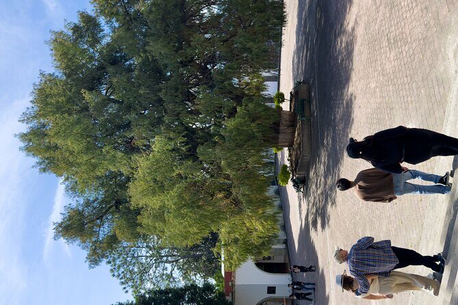 Sierra Norte: Full day tour - The Sum Up: Is It Worth It?