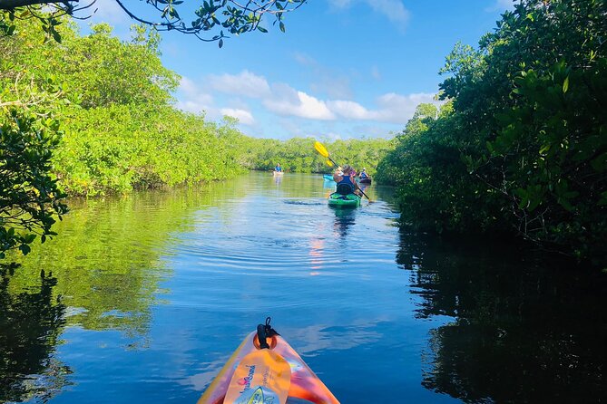 Siesta Key Guided Eco Tour - Cancellation Policy