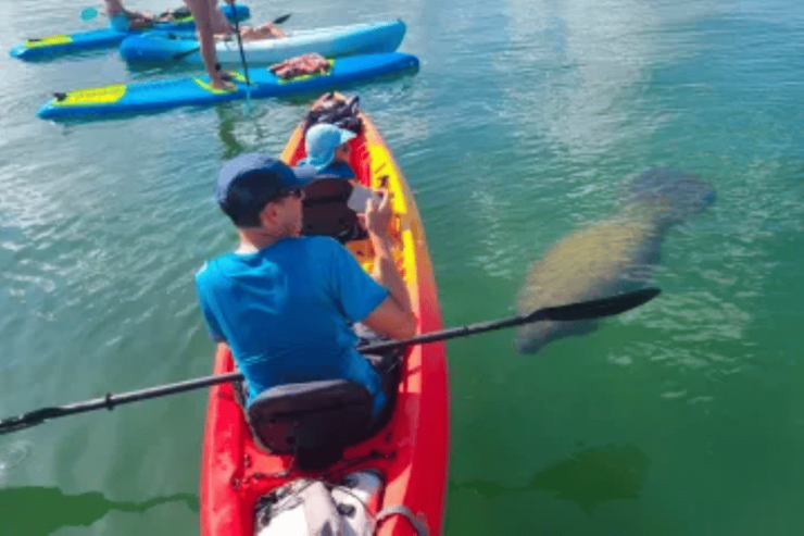 Siesta Key: Kayak and Paddleboard Rentals - Good To Know