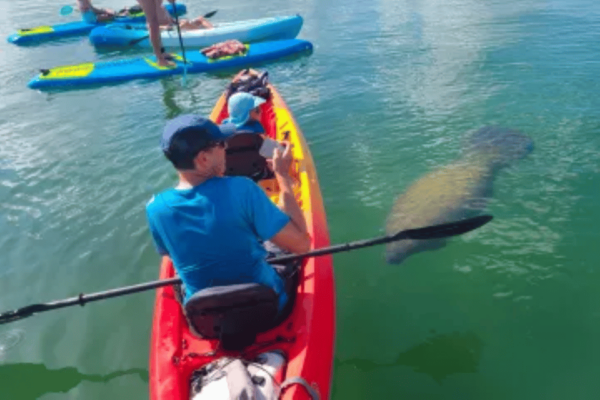 Siesta Key: Kayak and Paddleboard Rentals - Frequently Asked Questions