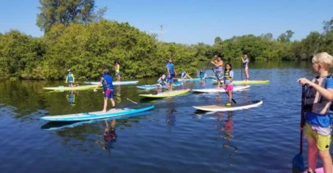 Siesta Key: Mangrove Kayak or Paddleboard Tour - Inclusions and Equipment