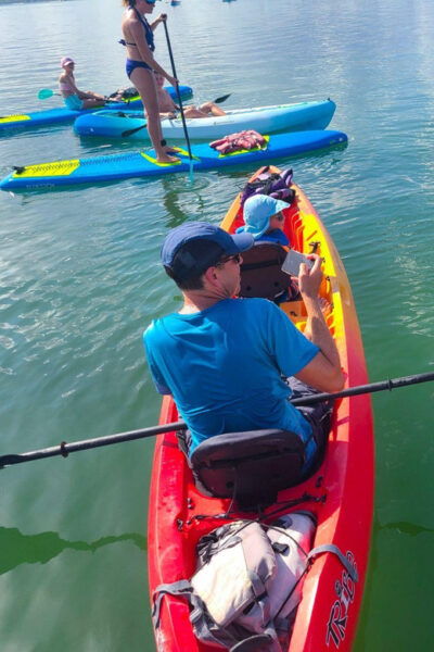 Siesta Key: Mangrove Kayak or Paddleboard Tour - Frequently Asked Questions