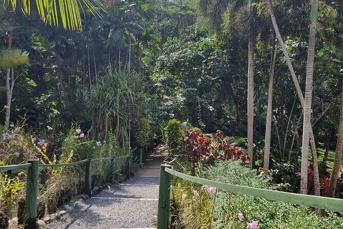 Sigatoka Sand Dunes Discovery - The Return and Overall Experience