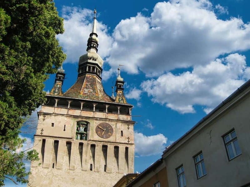Sighisoara & wine tasting (from Cluj) - Experience Sighisoara & Wine Tasting from Cluj: An Authentic Journey into Transylvania