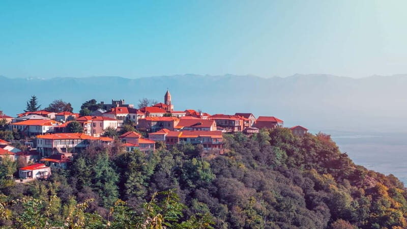 Sighnaghi and Bodbe Wine Tasting private tour: From Tbilisi - Who Will Love This Experience?