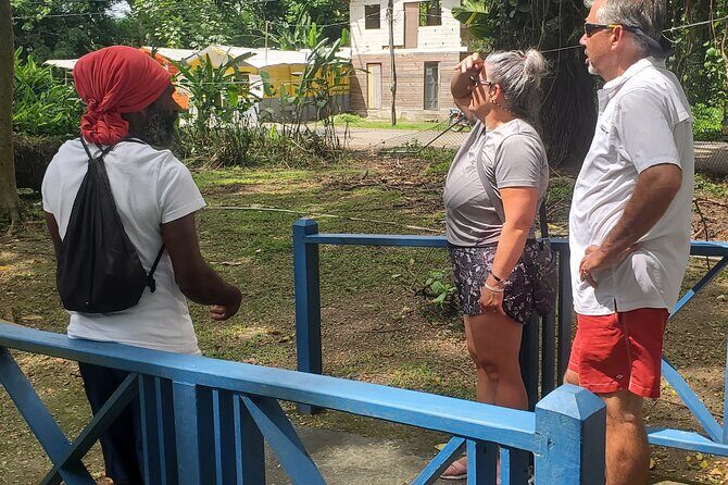 Sight seeing tour through the hills of JAMAICA - In-Depth Look at the Hills of Jamaica Tour