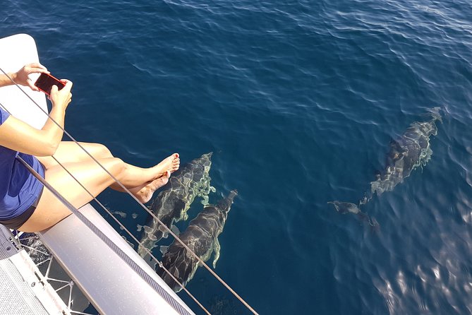 Sighting Dolphin Trip Estepona, Marbella - Meeting and Pickup Details