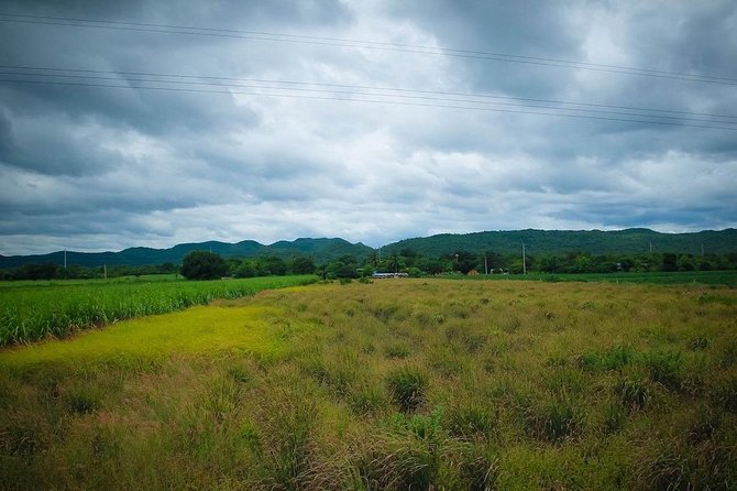 Sights In Samut Songkhram & Kanchanaburi Provinces - Tips for a Memorable Trip: Dos and Donts in Samut Songkhram & Kanchanaburi Provinces