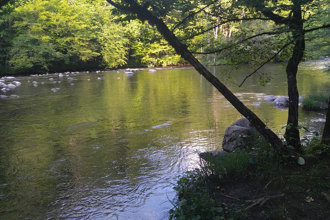 Sights of Smoky Mountains, Real Local History - The Sum Up