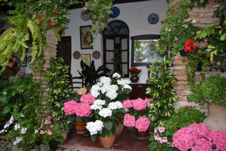Sights, Sounds, and Scents of Córdoba's Patios - Architecture and Design Elements