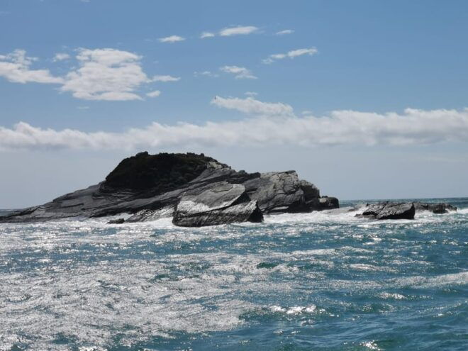 SIGHTSEEING AND SWIMMING BOAT TOUR - Customer Feedback