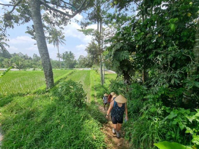 Sightseeing and Walking on Rice Terrace & Explore Waterfalls - Pickup Information