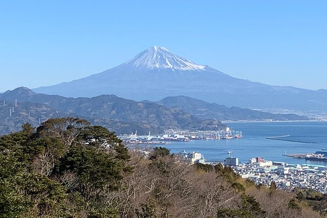 Sightseeing Around Shimizu Port for Cruise Ship Passengers - Must-Visit Historical Sites Near the Port