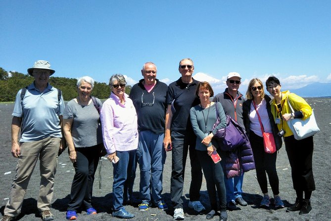 Sightseeing Around Shimizu Port for Cruise Ship Passengers - Common Questions