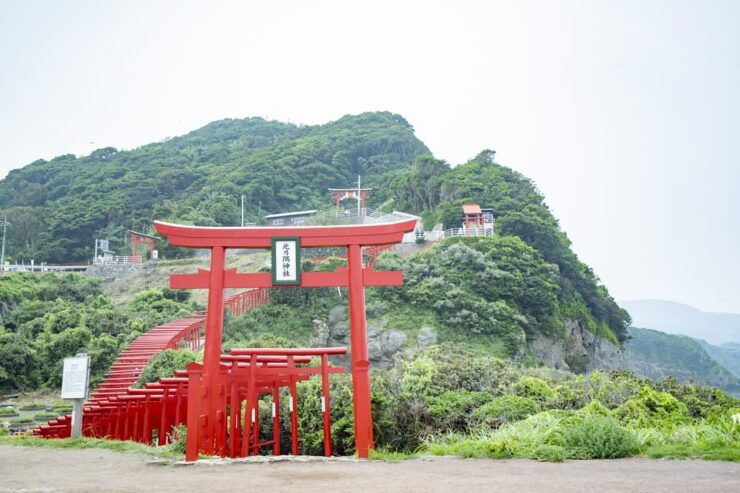 Sightseeing Bus Tour "Happiness Tours on the Yamaguchi-go A" - Good To Know