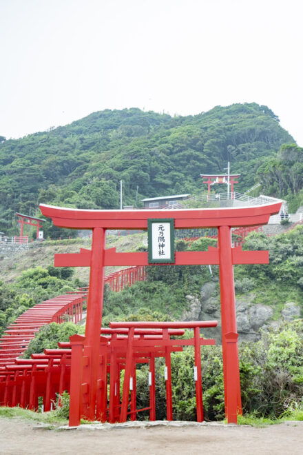 Sightseeing Bus Tour "Happiness Tours on the Yamaguchi-go A" - Customer Feedback