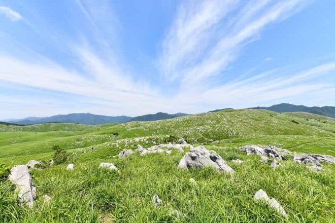 Sightseeing Bus Tour Happiness Tours on the Yamaguchi-go B - Experience Highlights