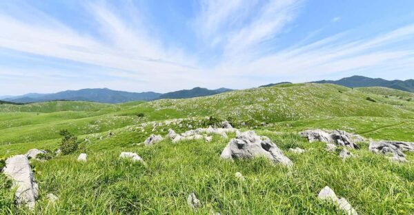 Sightseeing Bus Tour Happiness Tours on the Yamaguchi-go B - Reservation Process