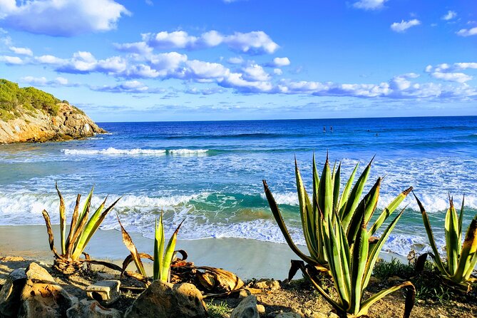 Sightseeing Day Tour Along the East and North Coasts of Ibiza! - Directions