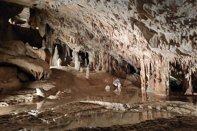 Sightseeing Day Tour Along the East and North Coasts of Ibiza! - The Sum Up