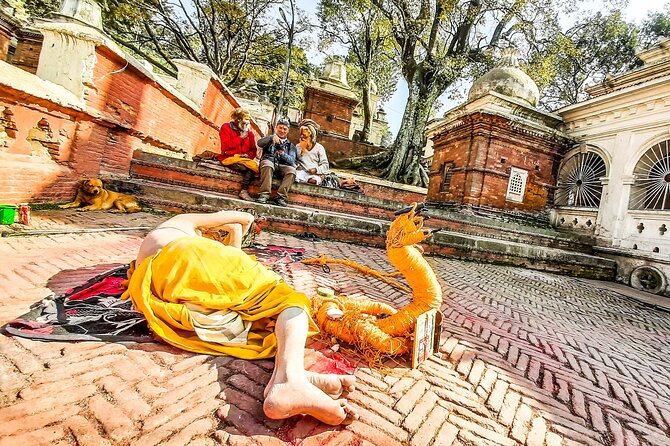 Sightseeing Day Tour In Kathmandu - Inclusions and Amenities Provided