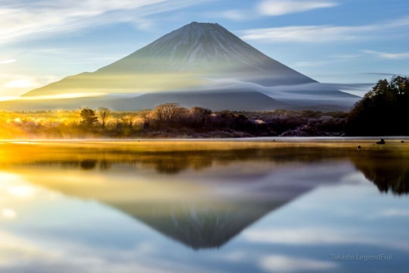 Sightseeing Day Trip to Mount Fuji and Hakone Green Number - Why Choose This Tour?