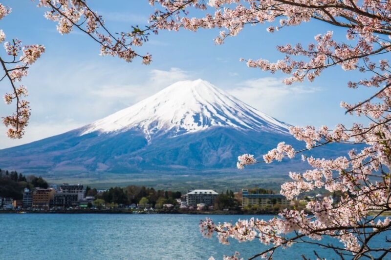 Sightseeing Day Trip to Mount Fuji and Hakone Green Number - Transportation and Guide Experience
