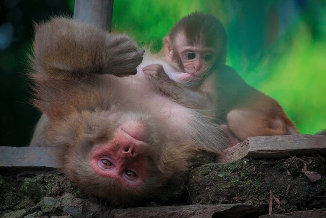 Sightseeing: Kathmandu City Day Tour (4 UNESCO Heritages) - Local Culture and Traditions