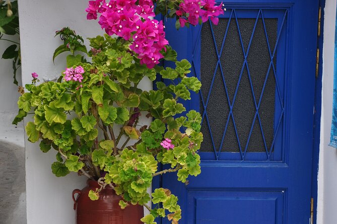 Sightseeing Private Tour in Athens Acropolis (Elysium Travel) - Expert Tour Guides