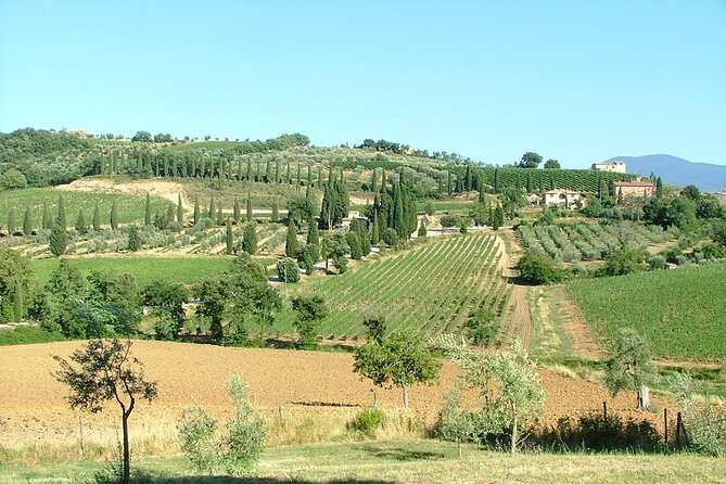 Sightseeing Tuscany by Touring Bike - 1 Day Rental - Rental Inclusions