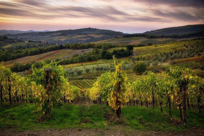 Sightseeing Tuscany by Touring Bike - 1 Day Rental - Booking Confirmation and Requirements