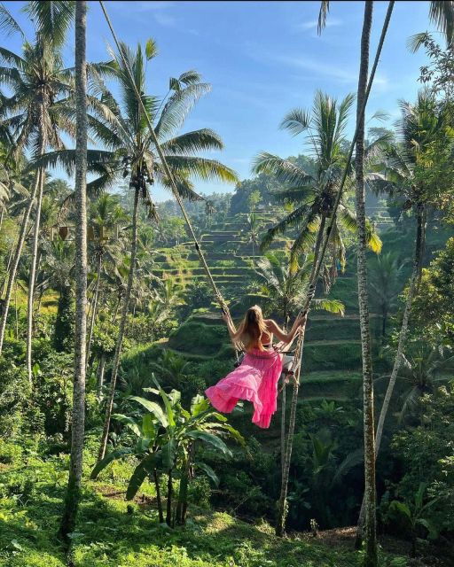 Sightseeing Ubud Monkey Forest, Rice Terrace and Waterfall - Ubud Monkey Forest Exploration