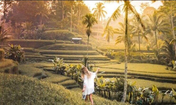 Sightseeing Ubud Riceterrace Water Temple and Waterfall Tour - Tour Highlights and Inclusions