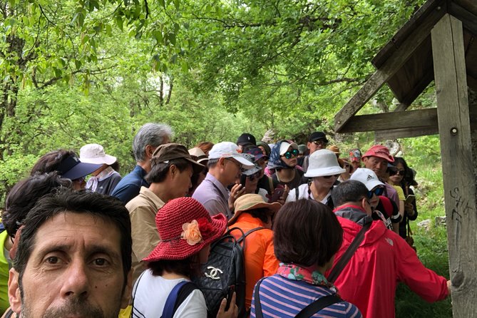 Sightseeing Zagori Daily Tour - Traveler Photos of Zagori