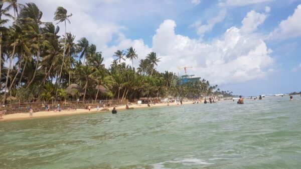 Sigiri Wish Tours - Customer Feedback and Adaptability