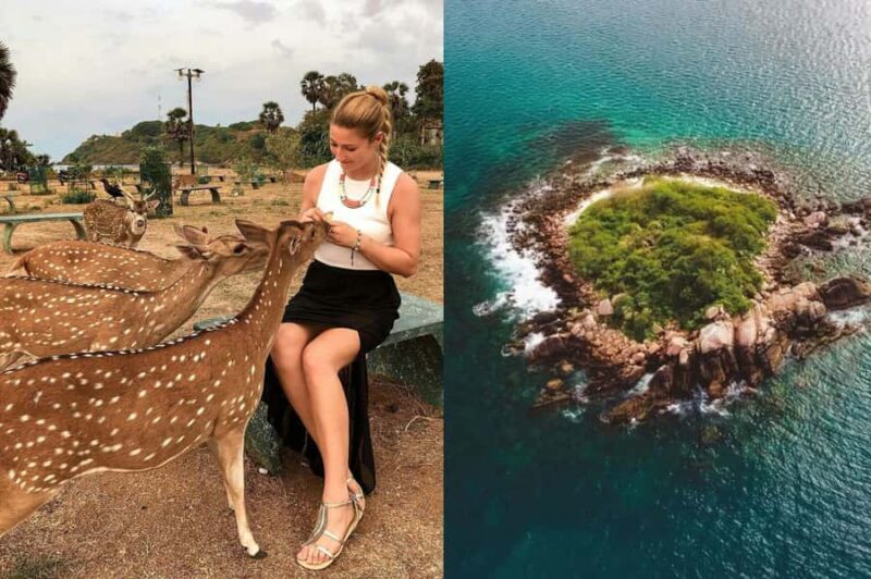 Sigiriya: 2-Day Trincomalee Tour Beach with Whale Watching - Transportation & Comfort