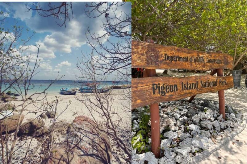 Sigiriya: 2-Day Trincomalee Tour Beach with Whale Watching - The Sum Up