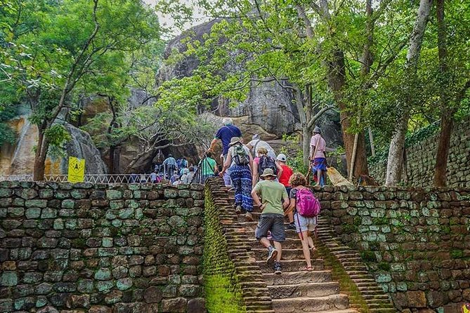 Sigiriya and Dambulla Day Tour From Kalutara / Wadduwa (All Inclusive) - Reviews